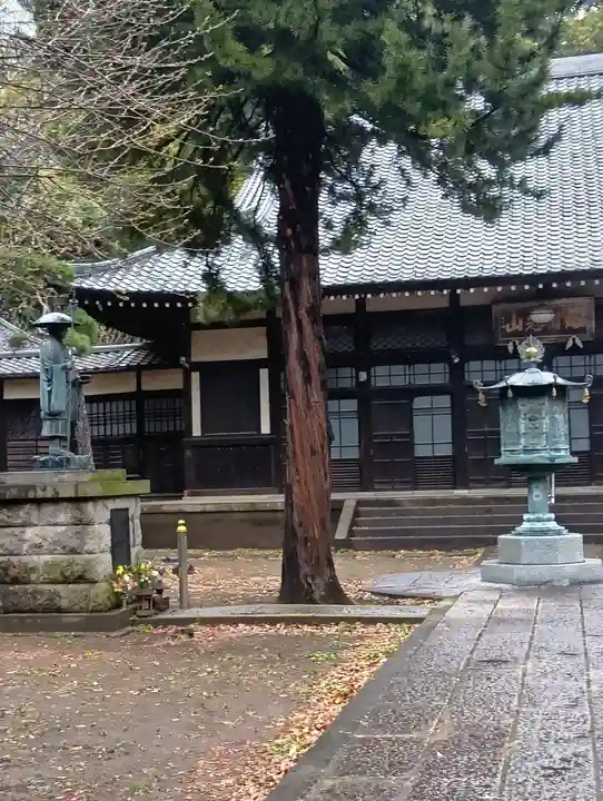 南蔵院(東京都)