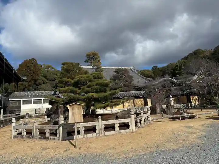 くろ谷 金戒光明寺(京都府)