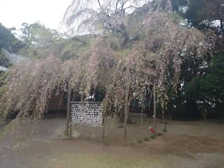 常陸第三宮 吉田神社のその他建物