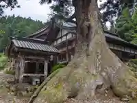 白山神社(長滝神社・白山長瀧神社・長滝白山神社)(岐阜県)