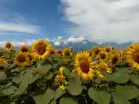 身曾岐神社(山梨県)