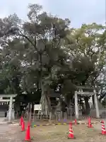 本刈谷神社(愛知県)