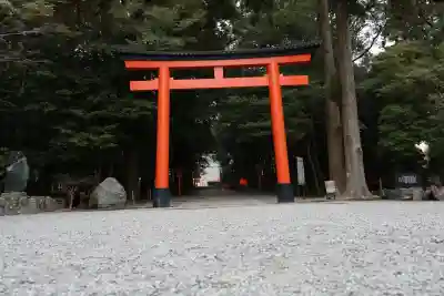 霧島神宮(鹿児島県)