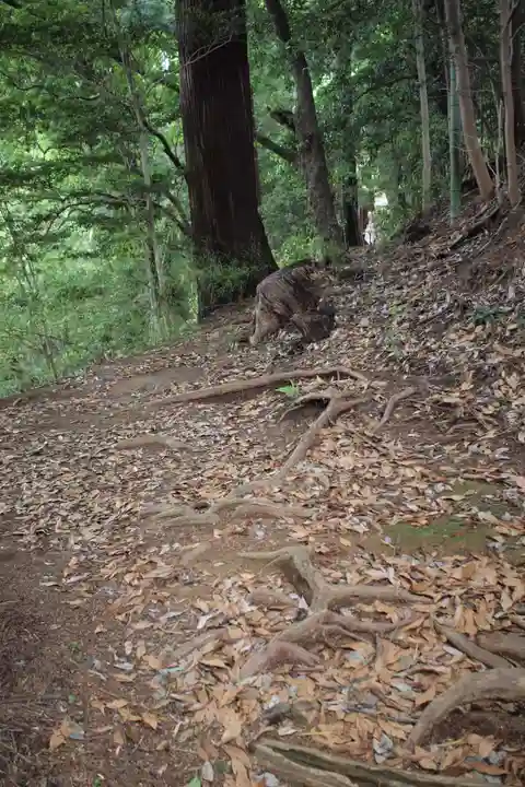 八王寺(埼玉県)