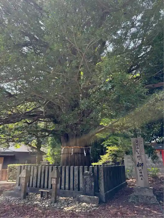 熊野速玉大社(和歌山県)