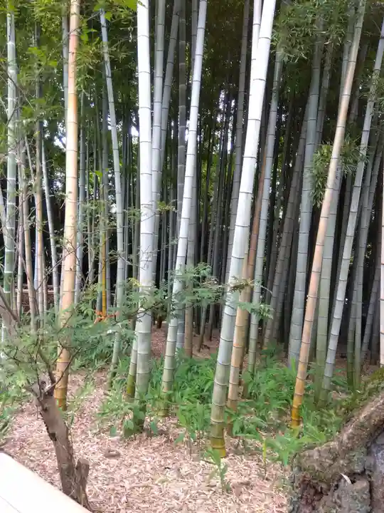 宝珠山 観泉寺(東京都)