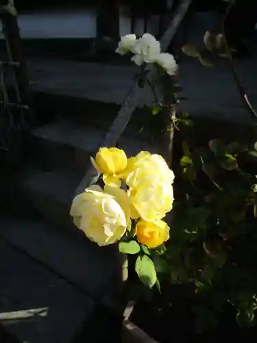 おふさ観音（観音寺）(奈良県)