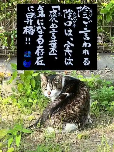 専念寺の動物