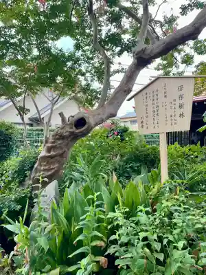 長福寺(神奈川県)