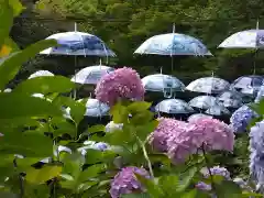 柳谷観音　楊谷寺(京都府)