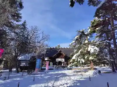 東川神社の七五三参