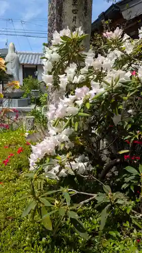 乘願院(京都府)