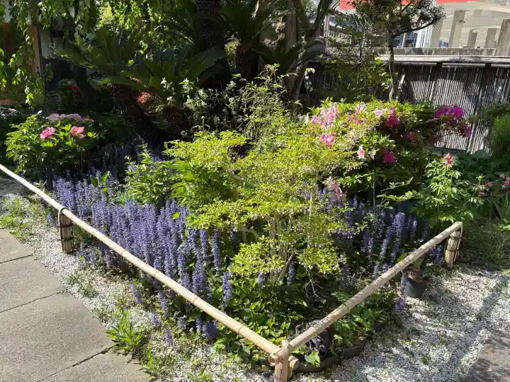天性寺の{uncategorized: "未分類", other: "その他", undefined: "問題あり", building: "その他建物", grave: "お墓", sacred_gate: "鳥居", guardian: "狛犬", statue: "像", buddha: "仏像", history: "歴史", nature: "自然", garden: "庭園", animal: "動物", pagoda: "塔", temizu: "手水舎", mountain_gate: "山門・神門", sanctuary: "本殿・本堂", subordinate: "末社・摂社", art: "芸術", scenery: "景色", jizo: "地蔵", ema: "絵馬", goshuin: "御朱印", omikuji: "おみくじ", items: "授与品その他", amulet: "お守り", goshuincho: "御朱印帳", eats: "食事", festival: "お祭り", votive_dance: "神楽", shichigosan: "七五三参", wedding: "結婚式", experience: "体験その他", initially: "初詣", around: "周辺", anti_infection: "感染症対策"}