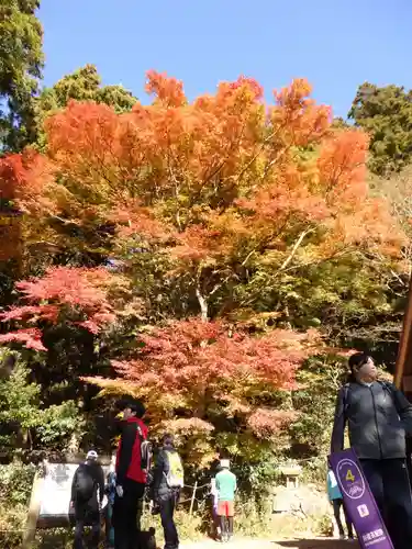 筑波山神社 女体山御本殿の周辺
