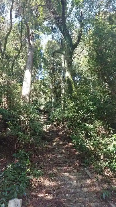 阿波々神社の自然