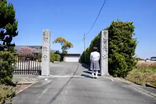 願海寺の山門・神門
