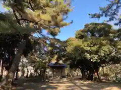 八雲神社の建物その他