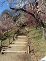 常磐神社(茨城県)