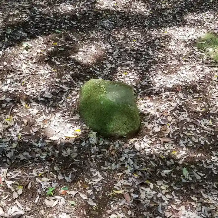 沼尾神社の自然