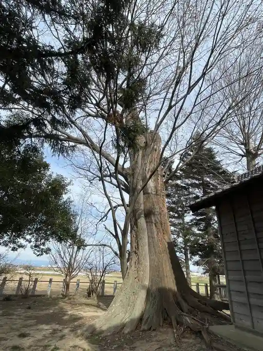 徳川東照宮(群馬県)