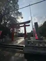 玉前神社の{uncategorized: "未分類", other: "その他", undefined: "問題あり", building: "その他建物", grave: "お墓", sacred_gate: "鳥居", guardian: "狛犬", statue: "像", buddha: "仏像", history: "歴史", nature: "自然", garden: "庭園", animal: "動物", pagoda: "塔", temizu: "手水舎", mountain_gate: "山門・神門", sanctuary: "本殿・本堂", subordinate: "末社・摂社", art: "芸術", scenery: "景色", jizo: "地蔵", ema: "絵馬", goshuin: "御朱印", omikuji: "おみくじ", items: "授与品その他", amulet: "お守り", goshuincho: "御朱印帳", eats: "食事", festival: "お祭り", votive_dance: "神楽", shichigosan: "七五三参", wedding: "結婚式", experience: "体験その他", initially: "初詣", around: "周辺", anti_infection: "感染症対策"}
