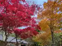 佛光山本栖寺(山梨県)