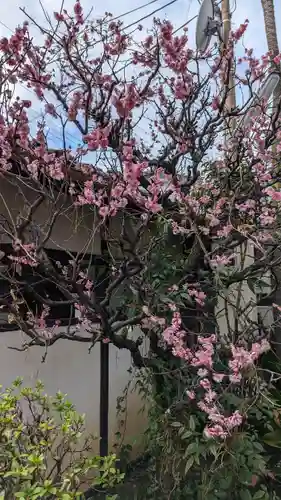 本昌寺(京都府)