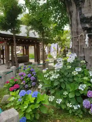 磐井神社(東京都)