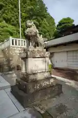 櫻山八幡宮の狛犬