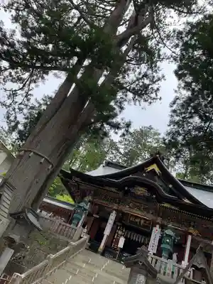 三峯神社の本殿・本堂