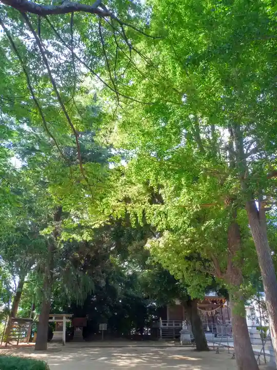 初富稲荷神社(千葉県)