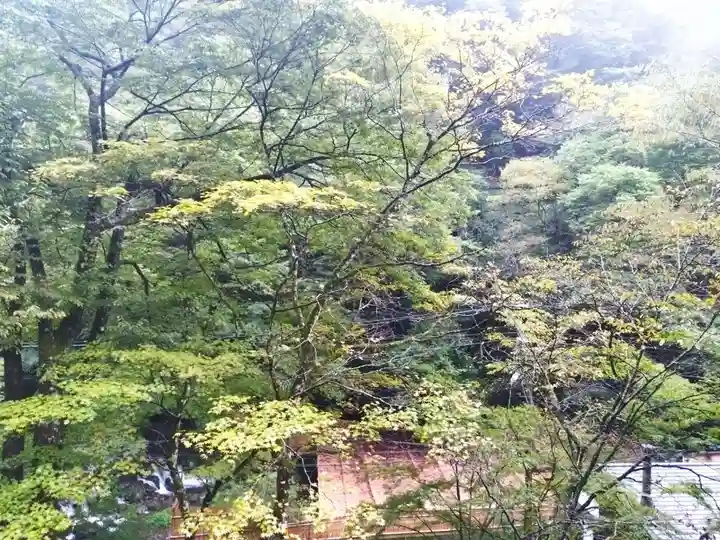 貴船神社(京都府)