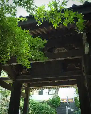 崇禅寺(群馬県)