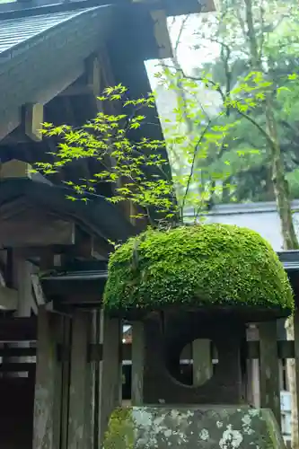 天岩戸神社(宮崎県)