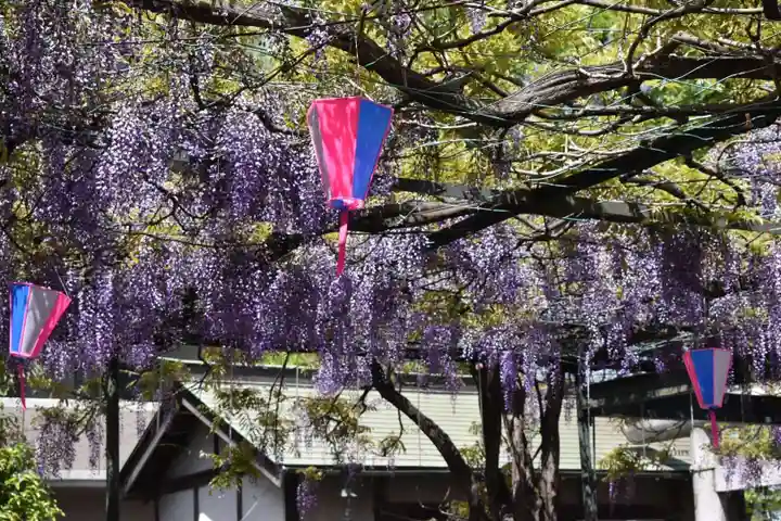 國領神社の自然