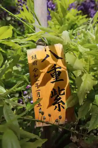 志那神社(滋賀県)
