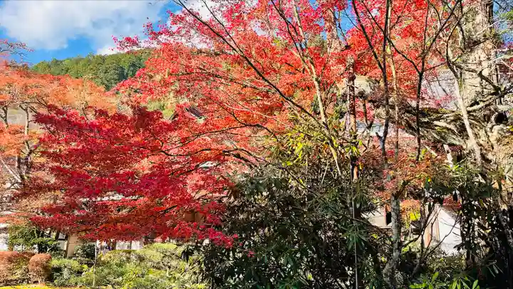 西明寺(京都府)