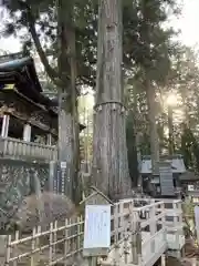 三峯神社の自然