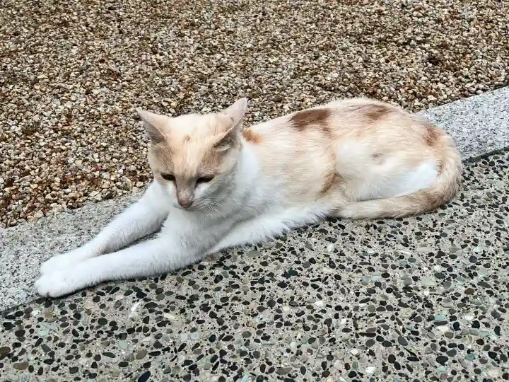 百済寺(滋賀県)