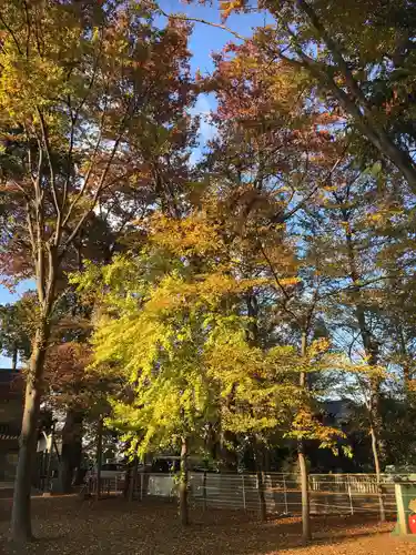 小野神社の自然