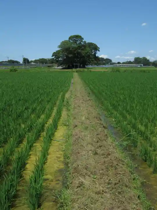 神明神社(千葉県)