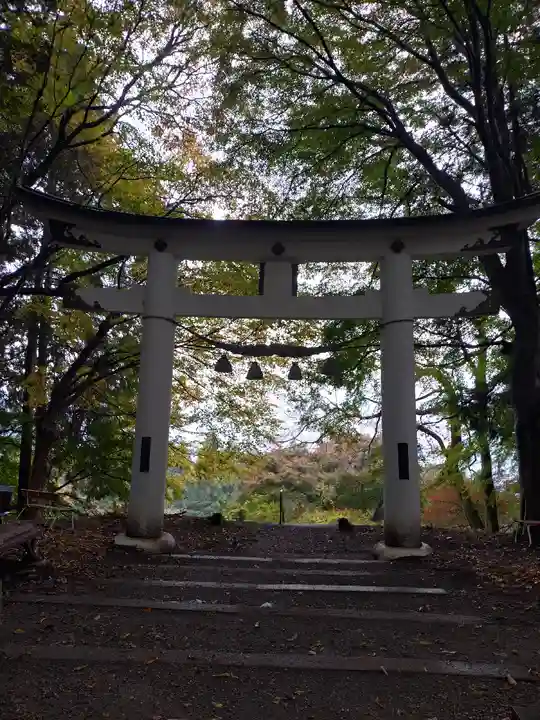 宝登山神社奥宮(埼玉県)