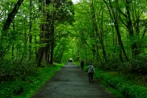 戸隠神社九頭龍社(長野県)