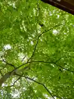 上青谷観音(岩手県)