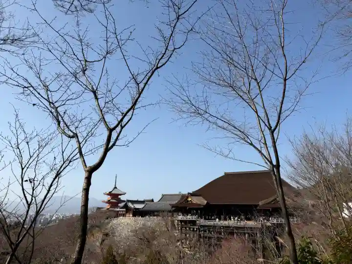 清水寺の{uncategorized: "未分類", other: "その他", undefined: "問題あり", building: "その他建物", grave: "お墓", sacred_gate: "鳥居", guardian: "狛犬", statue: "像", buddha: "仏像", history: "歴史", nature: "自然", garden: "庭園", animal: "動物", pagoda: "塔", temizu: "手水舎", mountain_gate: "山門・神門", sanctuary: "本殿・本堂", subordinate: "末社・摂社", art: "芸術", scenery: "景色", jizo: "地蔵", ema: "絵馬", goshuin: "御朱印", omikuji: "おみくじ", items: "授与品その他", amulet: "お守り", goshuincho: "御朱印帳", eats: "食事", festival: "お祭り", votive_dance: "神楽", shichigosan: "七五三参", wedding: "結婚式", experience: "体験その他", initially: "初詣", around: "周辺", anti_infection: "感染症対策"}