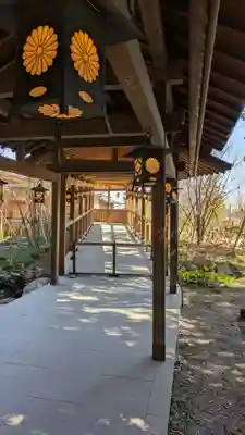 川越氷川神社(埼玉県)