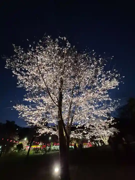 長谷寺(神奈川県)