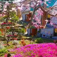 寿量山 速成寺の自然