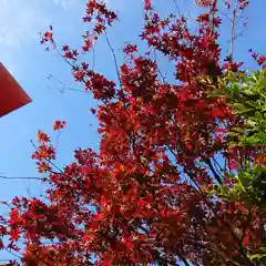 三輪神社の自然