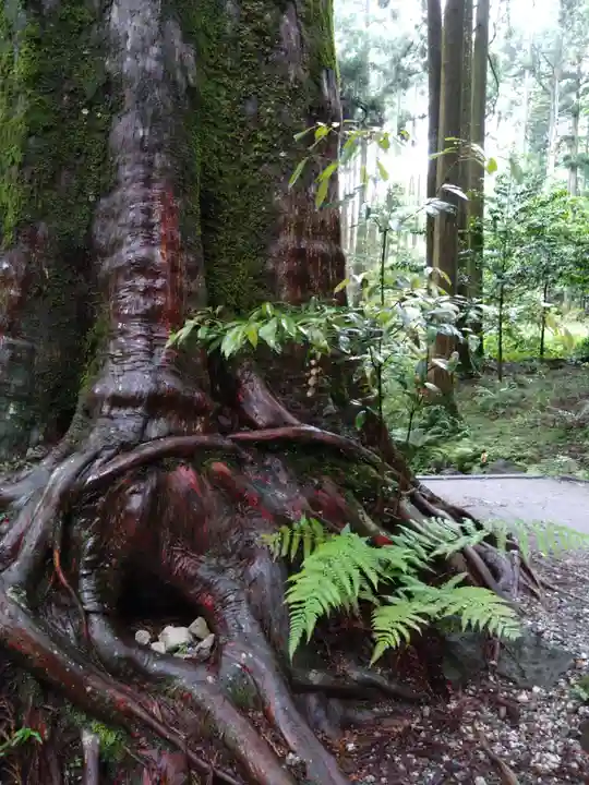 山神社(鹿児島県)